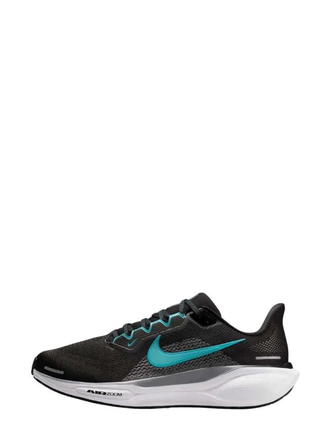 Air zoom pegasus 41
