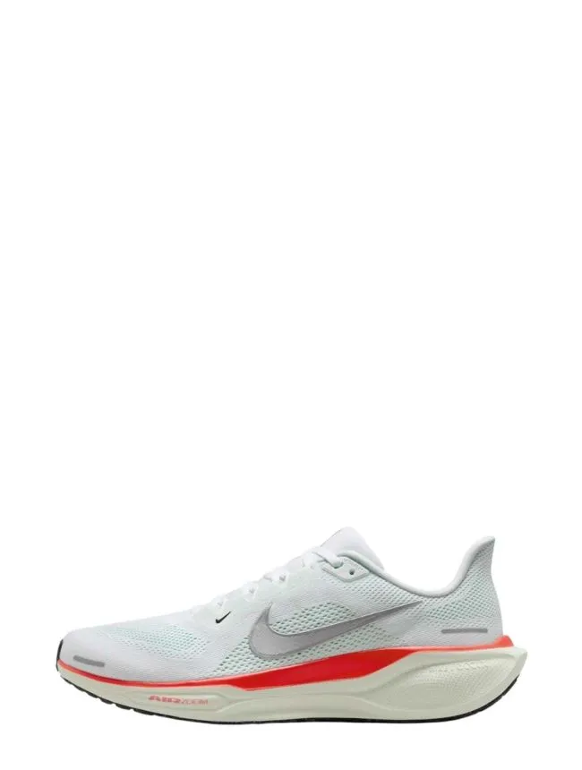Air zoom pegasus 41