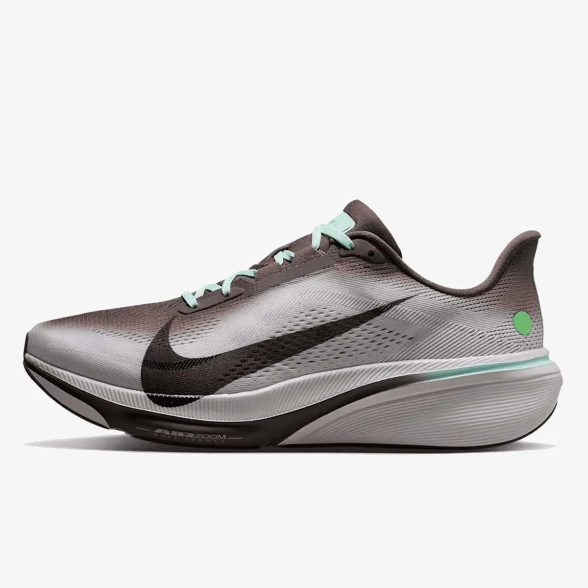 Air zoom pegasus 42