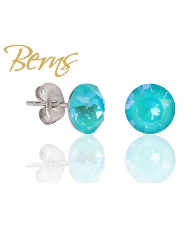 Berns r31463 xirius