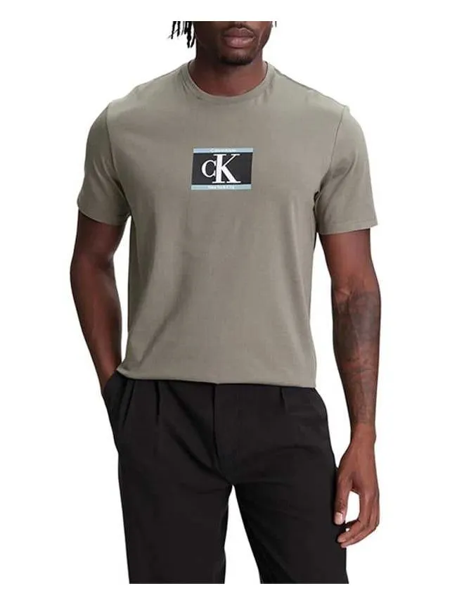 Calvin klein - muška logo majica