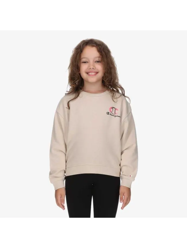 Crewneck sweatshirt