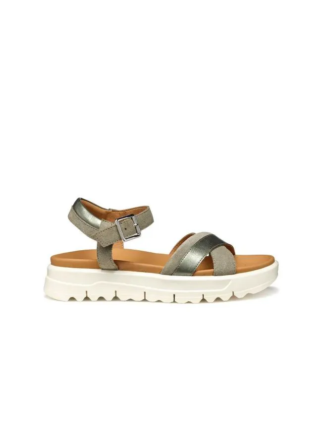 D xand 2.1s