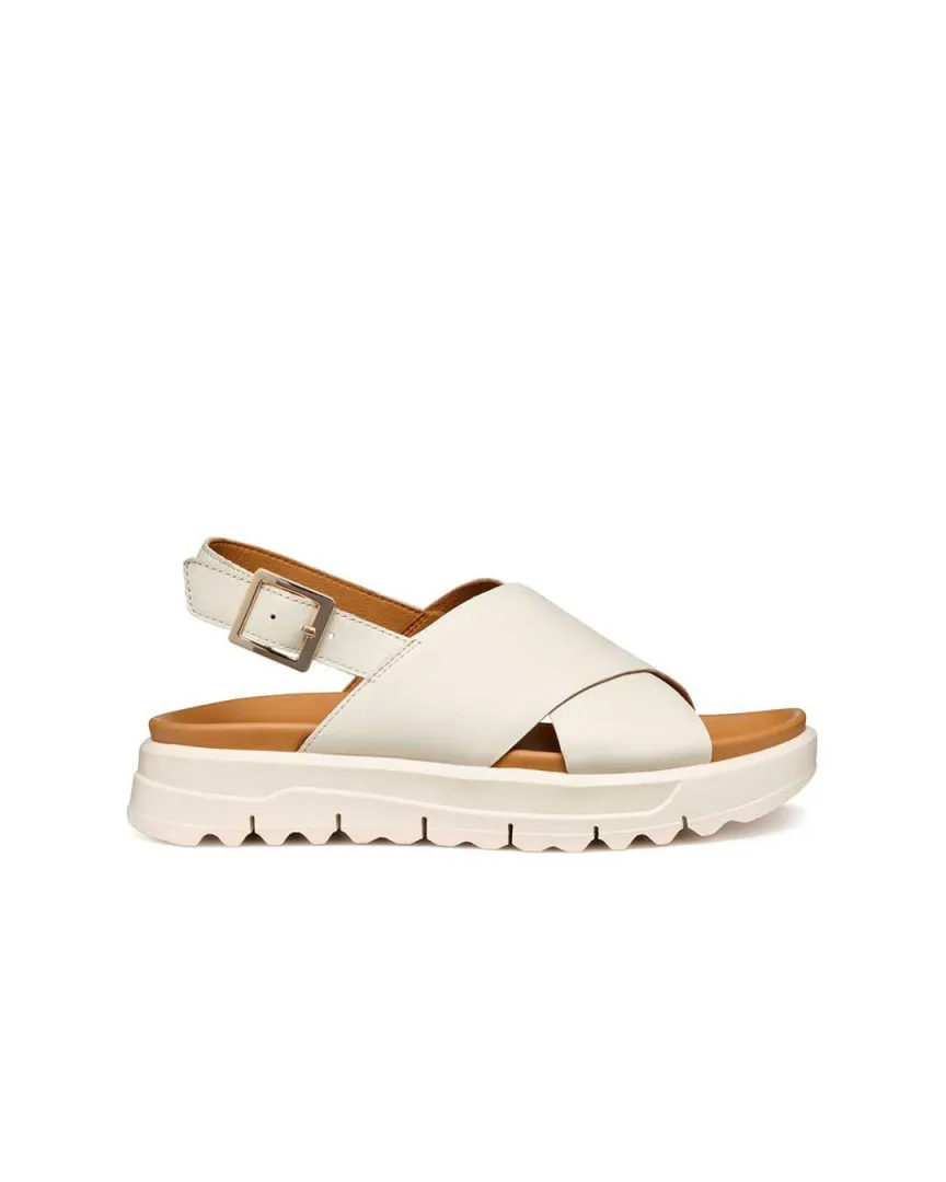 D xand 2.1s