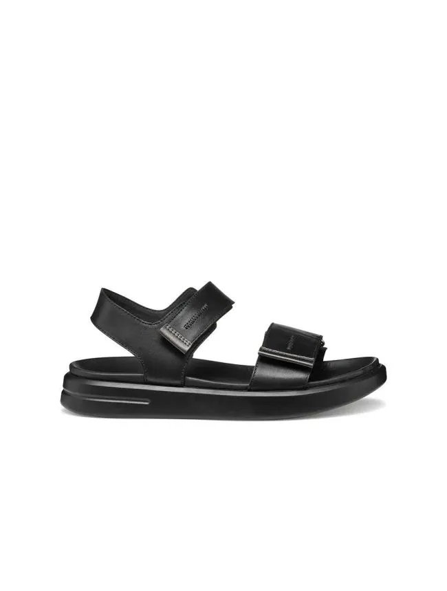D xand 2s