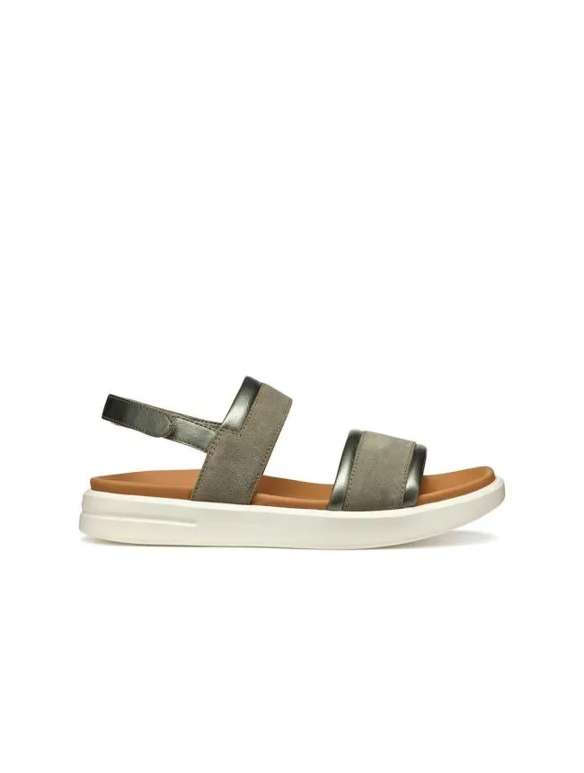 D xand 2s