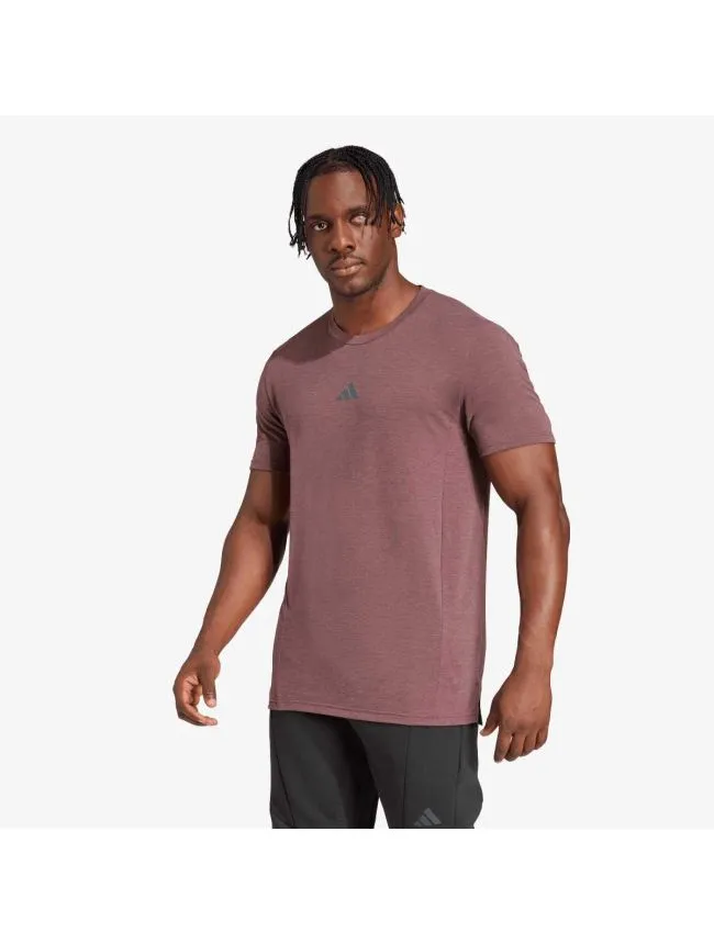 D4t tee