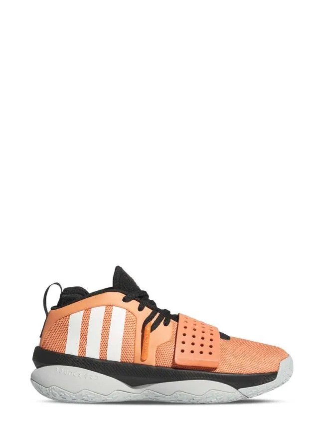 Dame 8 extply