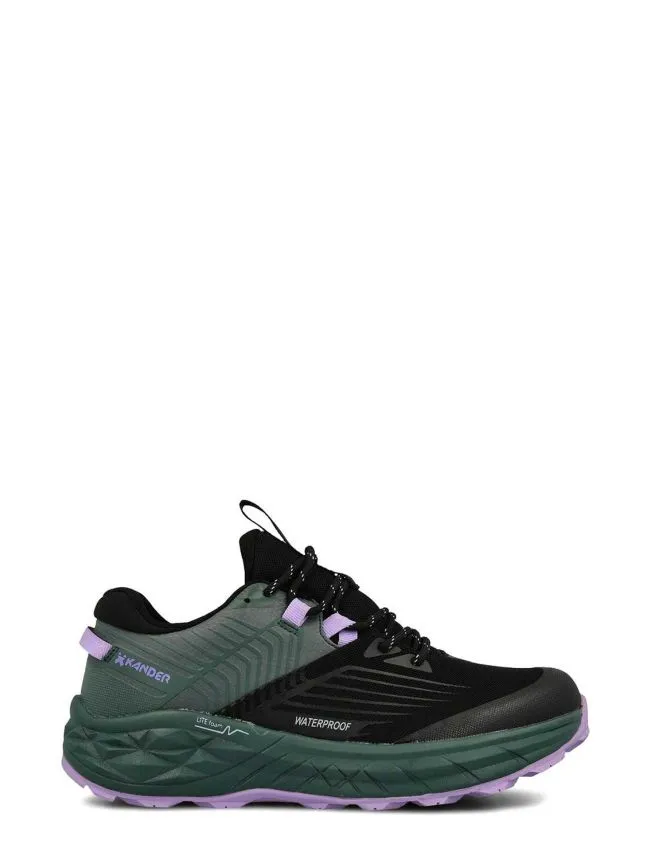 Denali low
