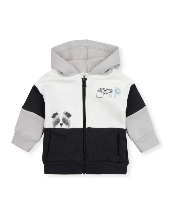 Duks za decake kaica