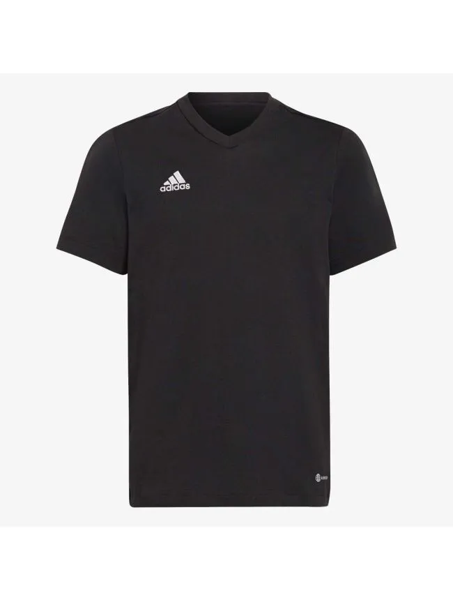 Ent22 tee y