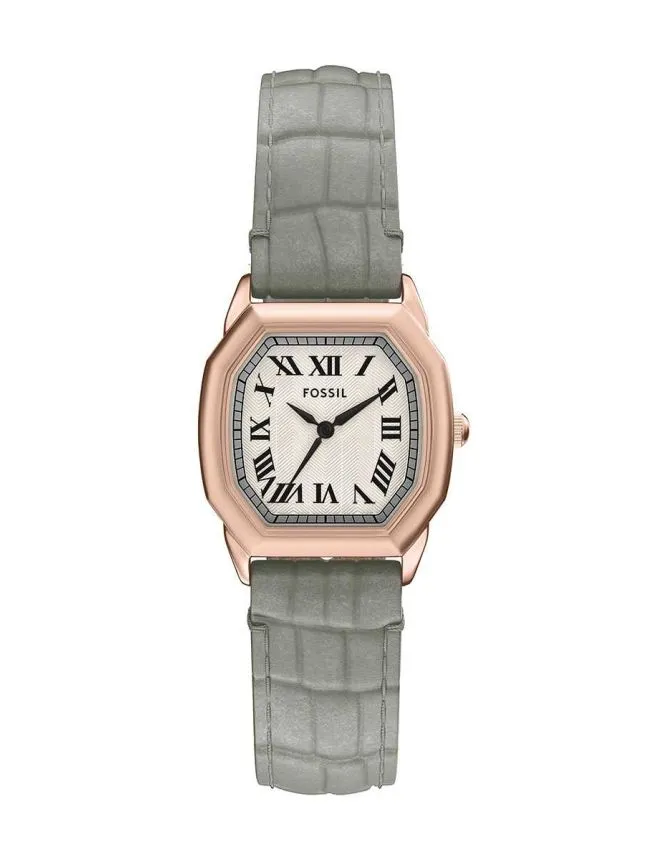 Fossil satovi