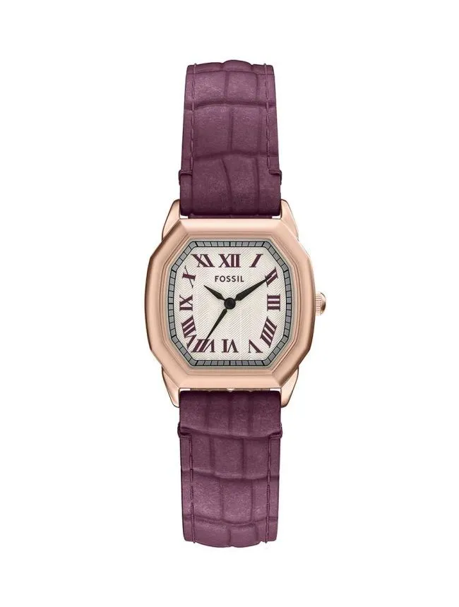 Fossil satovi