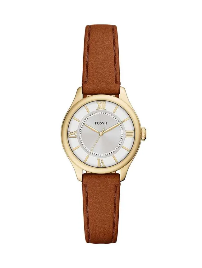 Fossil satovi