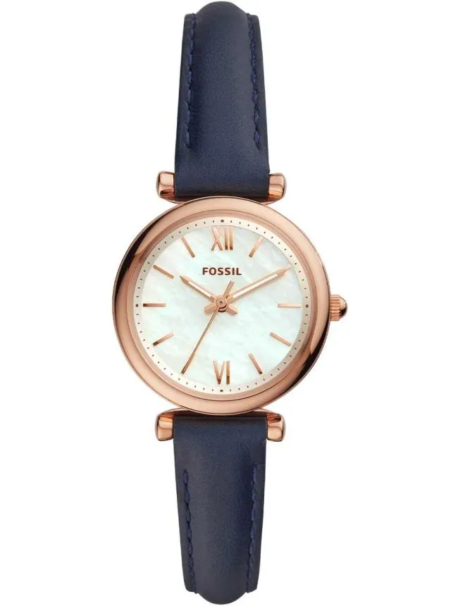 Fossil satovi
