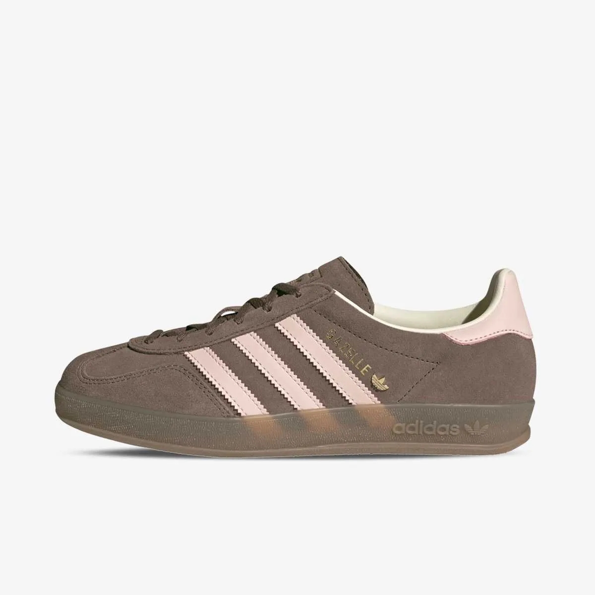 Gazelle indoor w