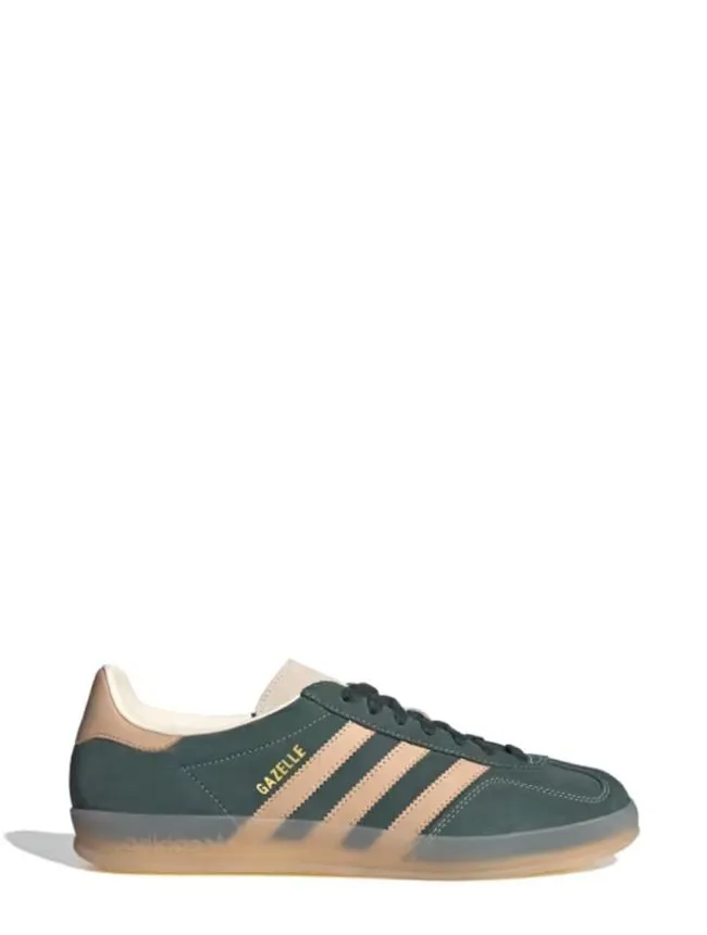 Gazelle indoor