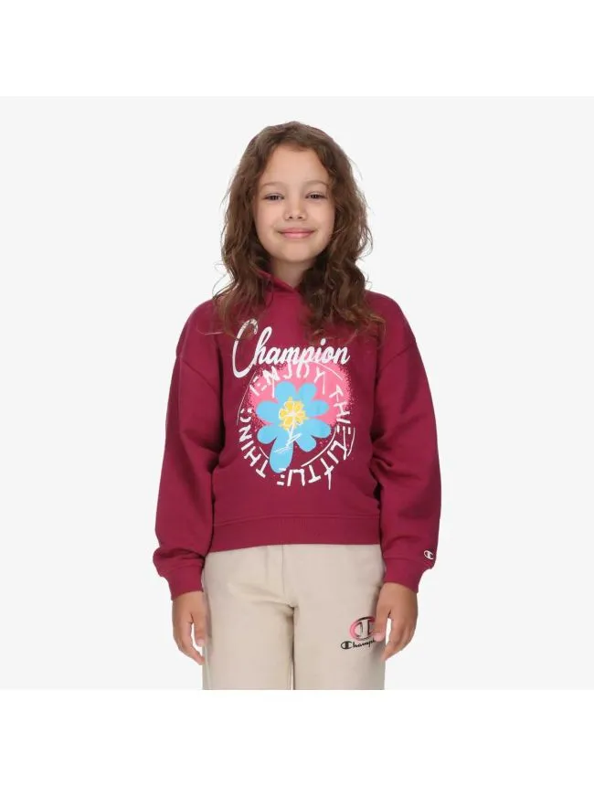 Hooded sweatshirt
