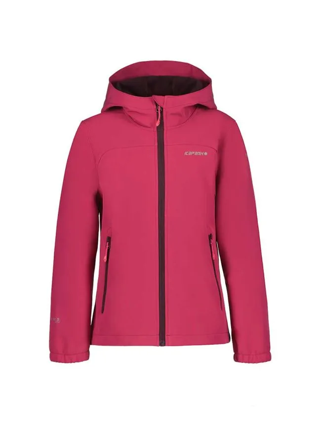 Icepeak kobryn jr