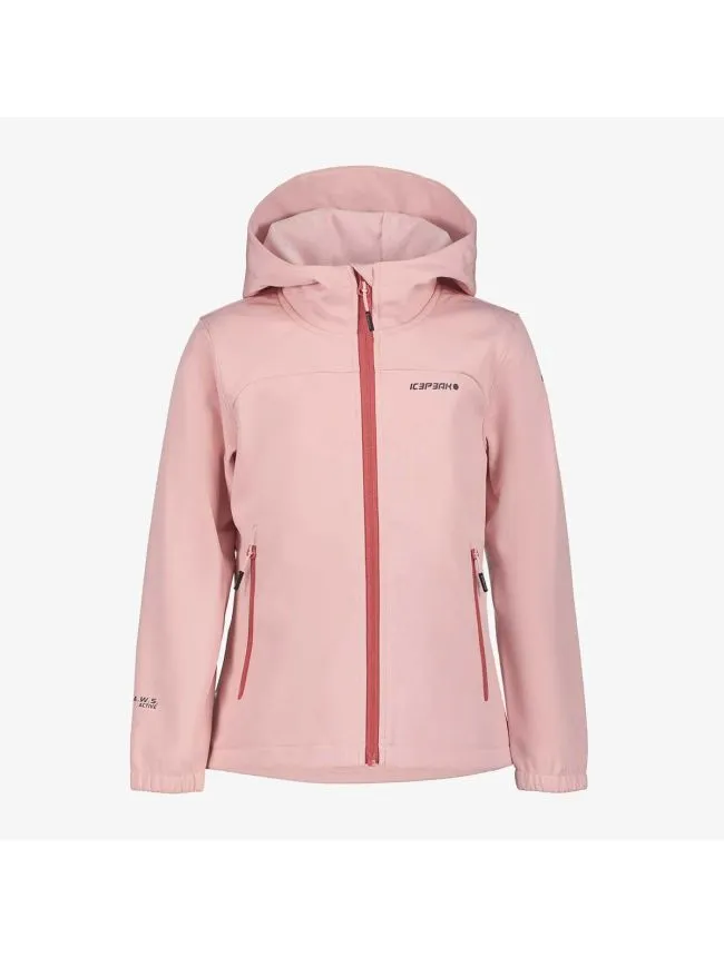 Icepeak kobryn jr