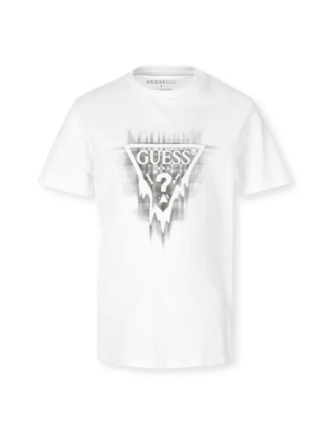 Majica za decake guess