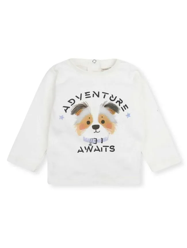 Majica za decake koni