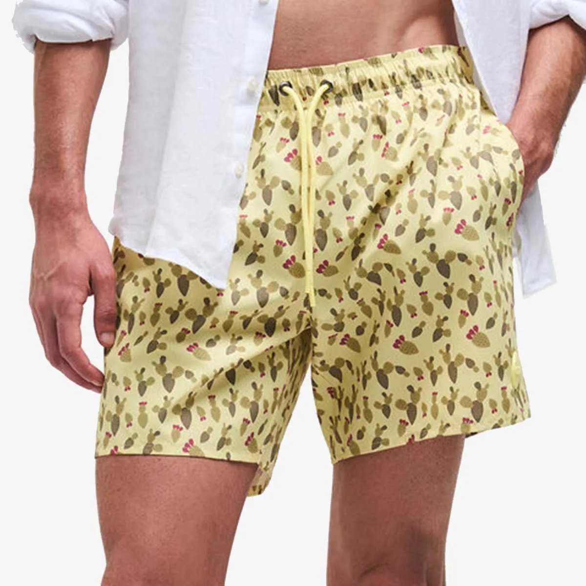 Mens swim.shorts