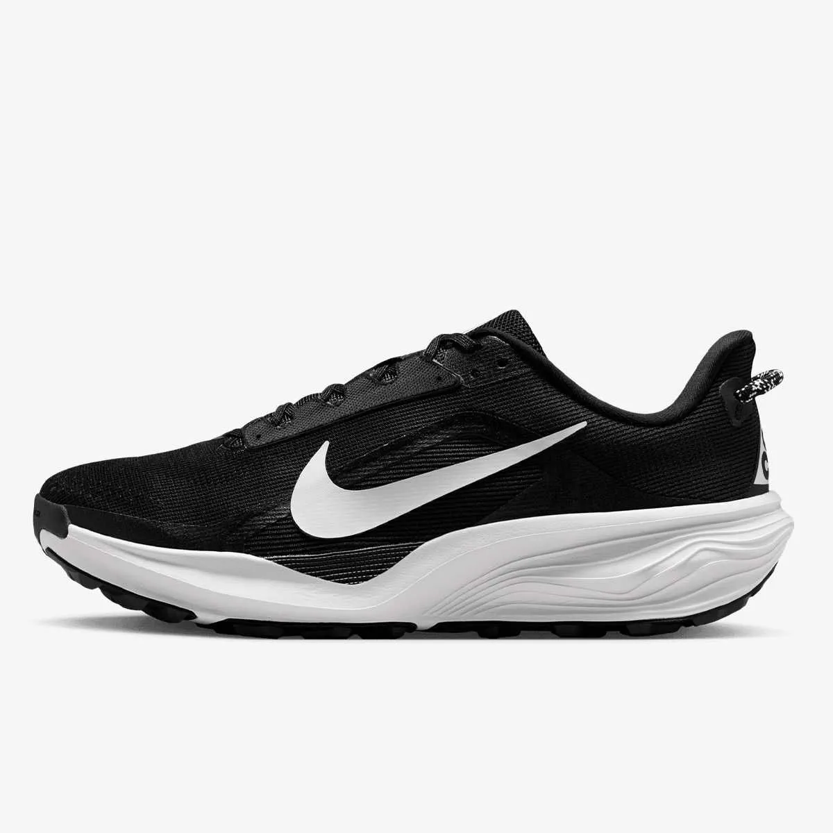 Nike acg pegasus trail