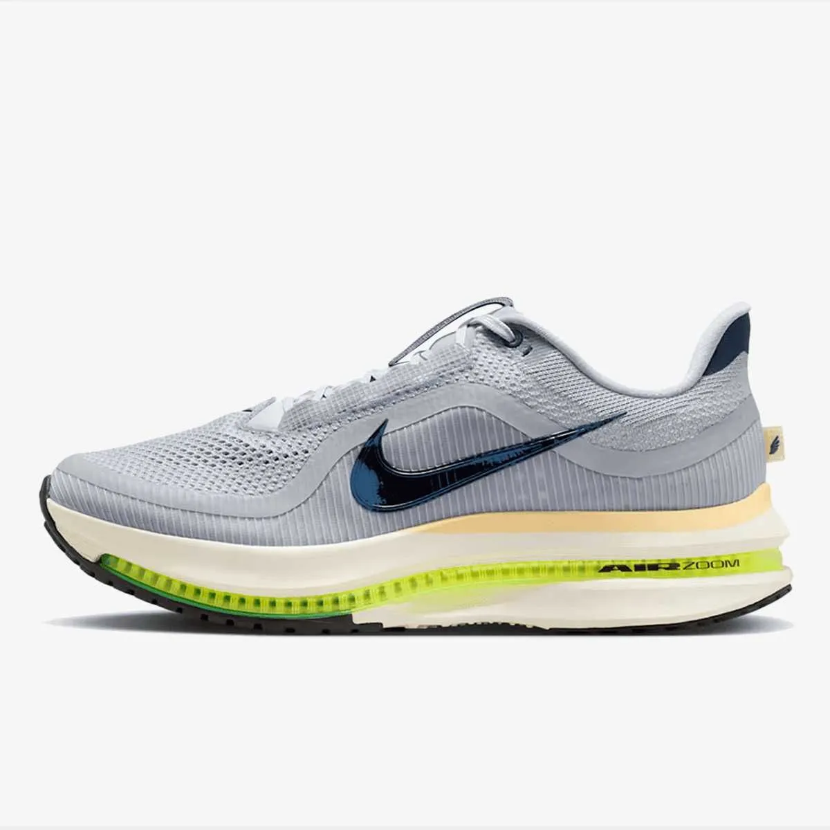 Nike pegasus premium hr