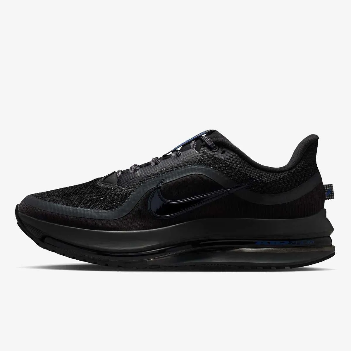 Nike pegasus premium