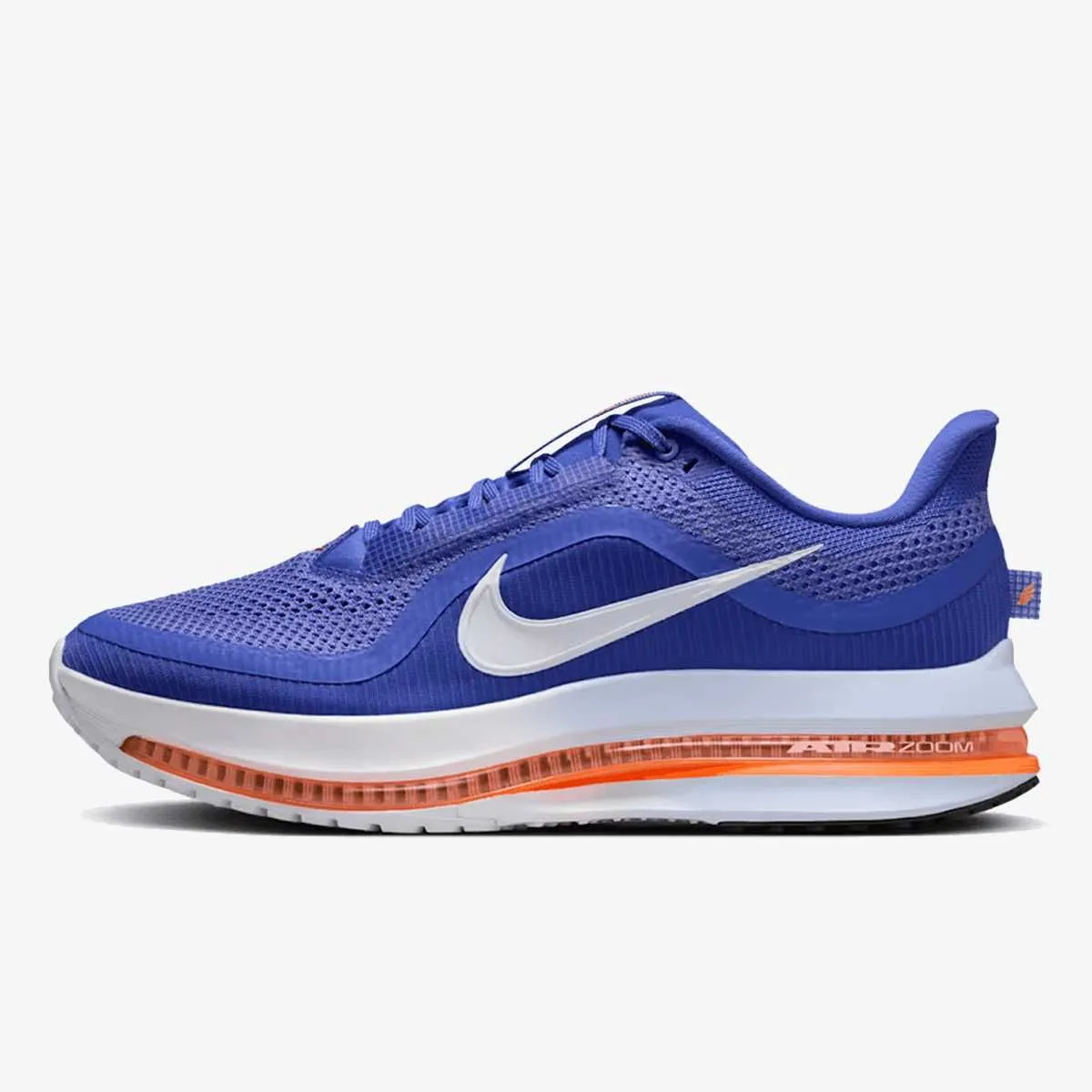 Nike pegasus premium