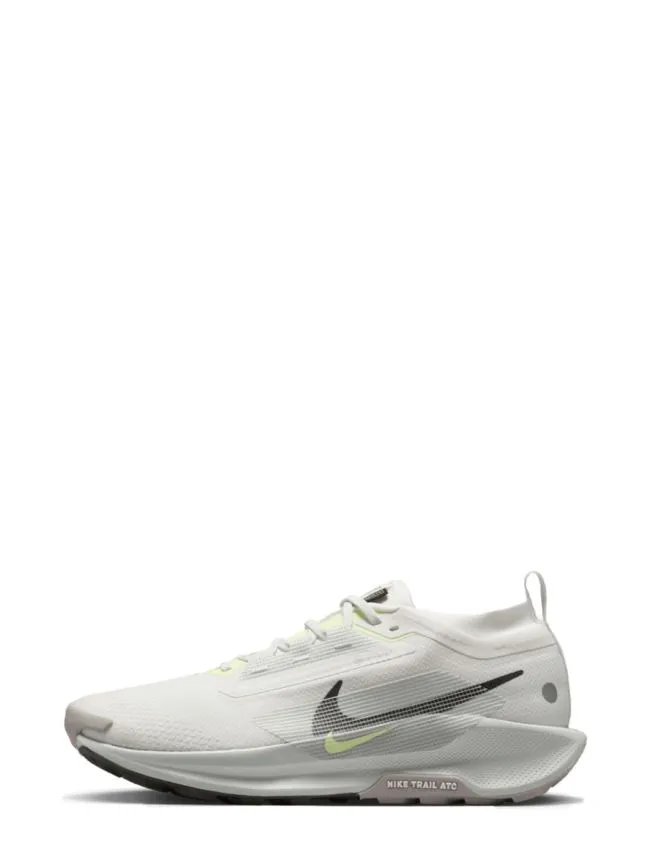 Nike pegasus trail 5 gtx