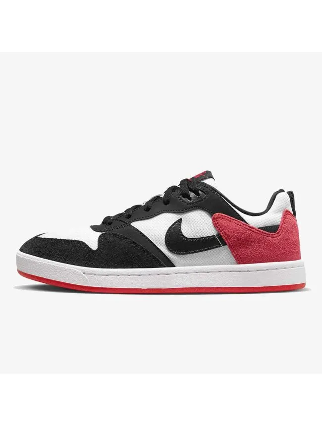 Nike sb alleyoop