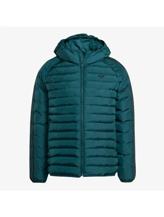 Pad hooded jkt