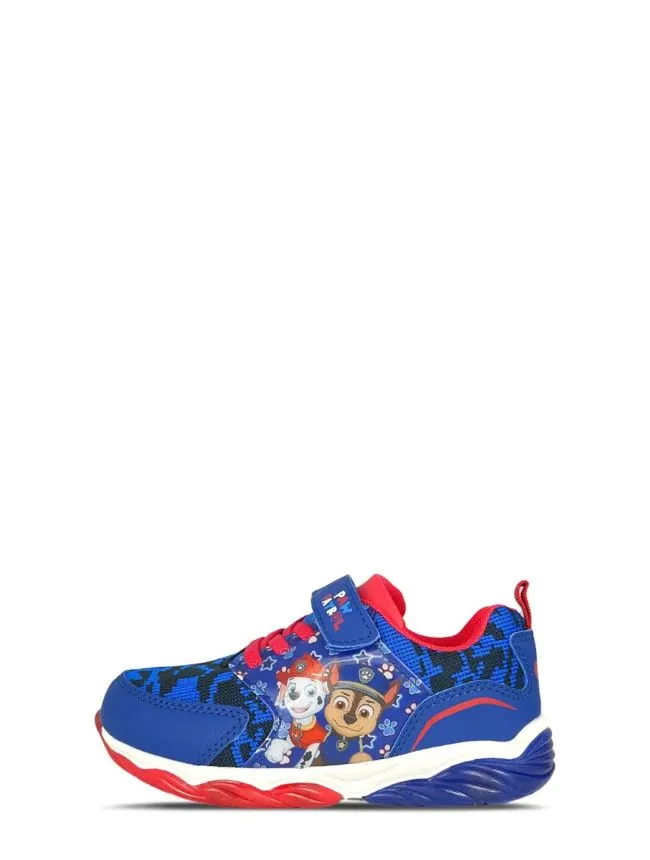 Paw patrol