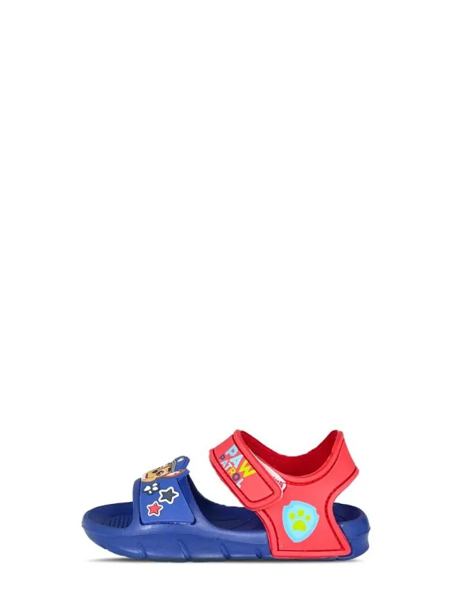 Paw patrol