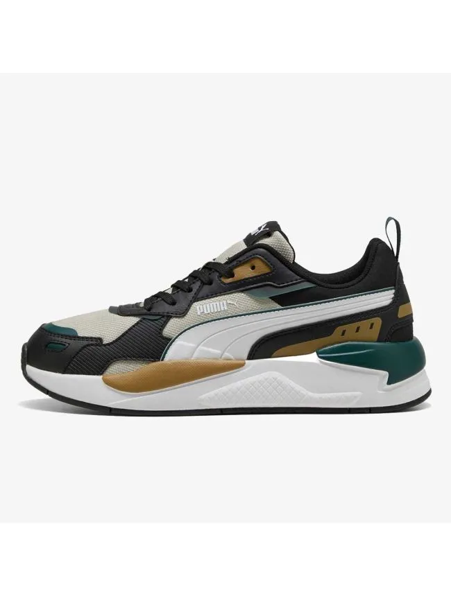 Puma x-ray 3