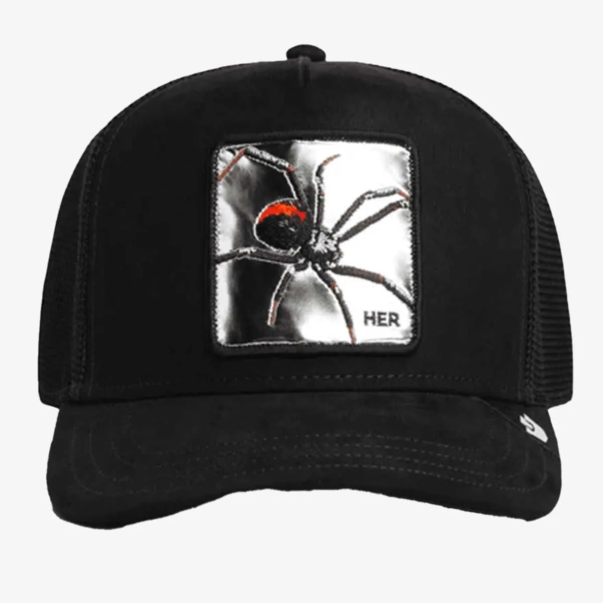 Silver spider