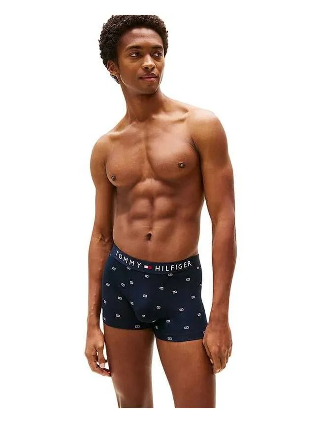 Tommy hilfiger - muške bokserice sa printom