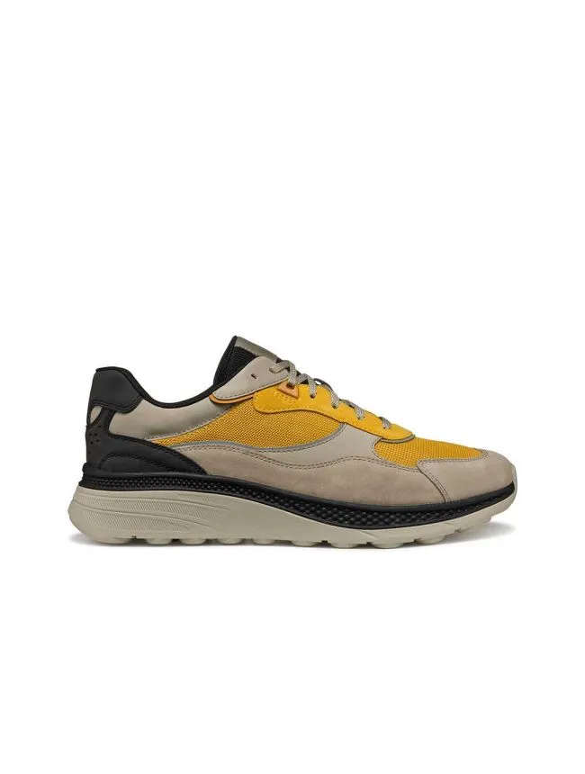 U spherica actif x1