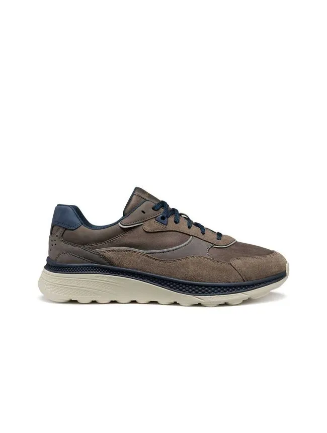 U spherica actif x1