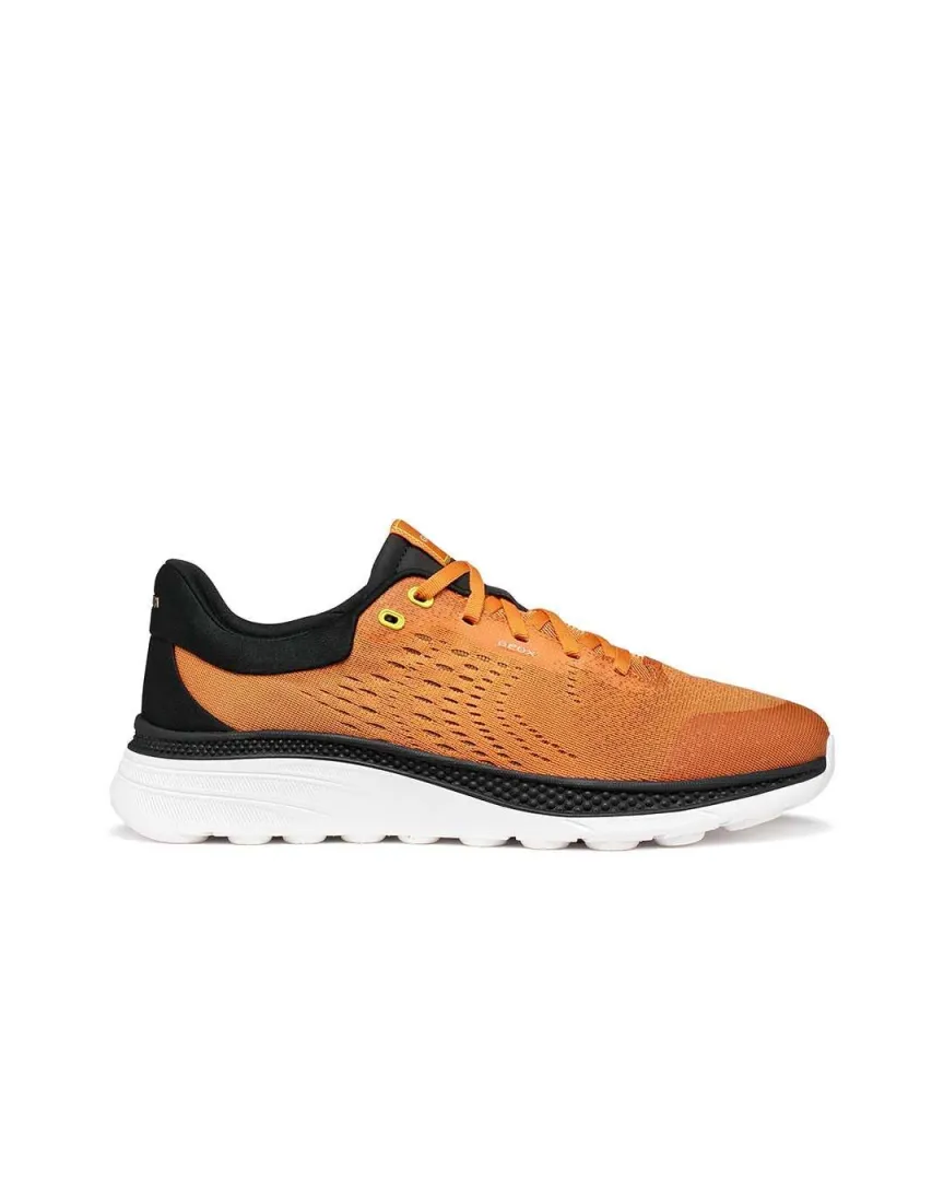U spherica actif x1