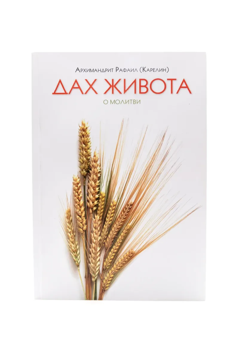 Дах живота. Архимандрит Рафаил (Карелин)