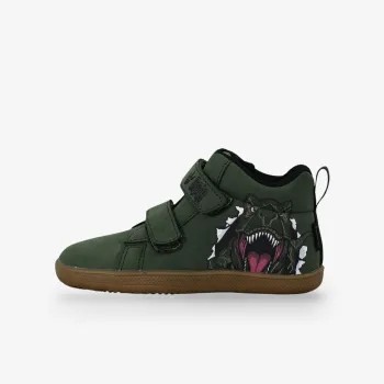 Bds DINOSAUR