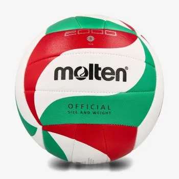 Molten Volleyball