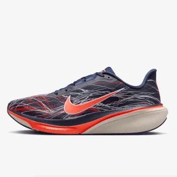Nike Pegasus 42