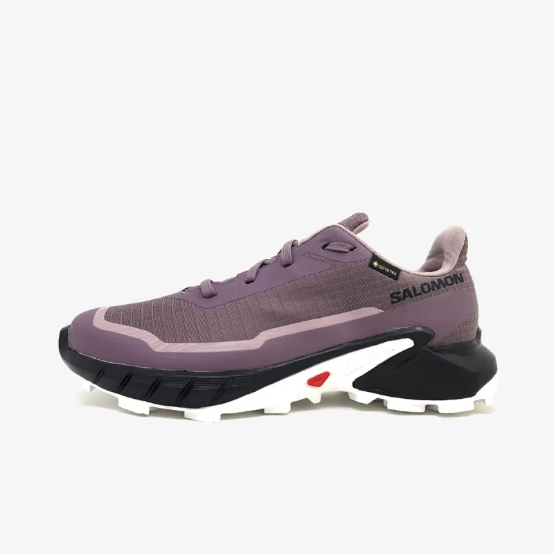Salomon Alphacross 5 GTX