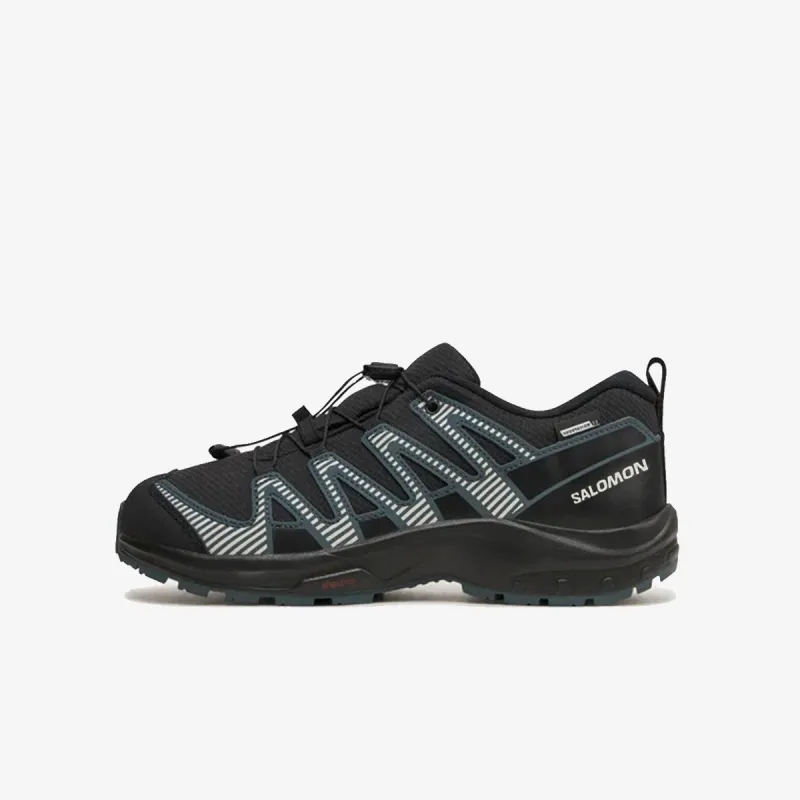 Salomon XA Pro V8 CSWP