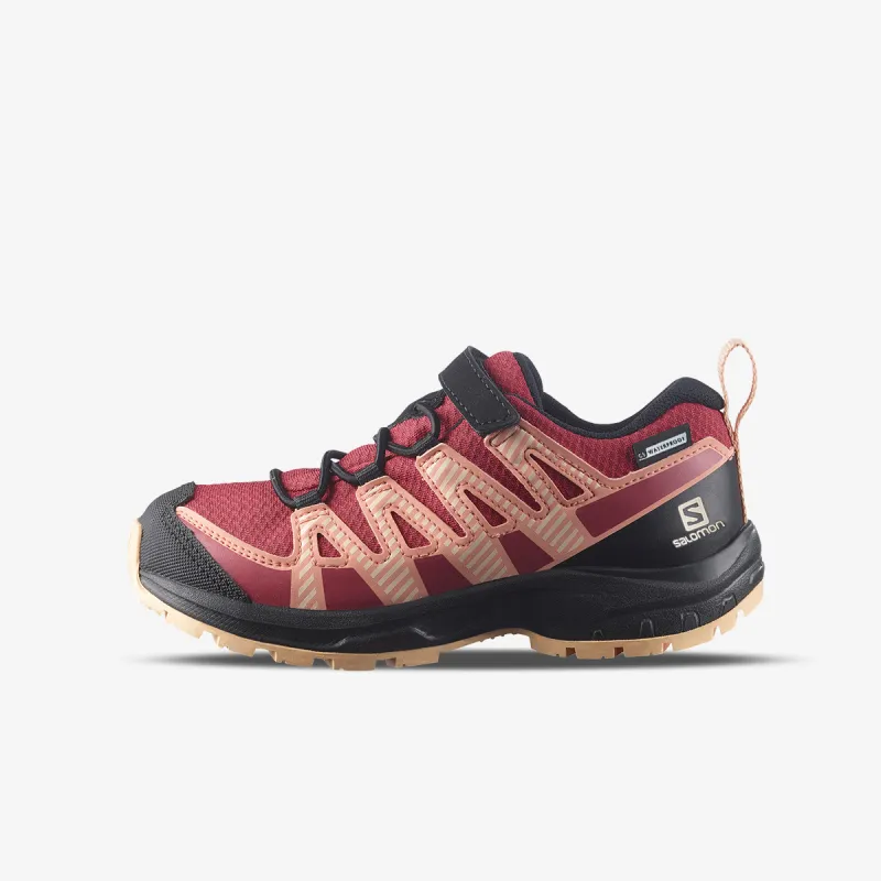 Salomon Xa Pro V8