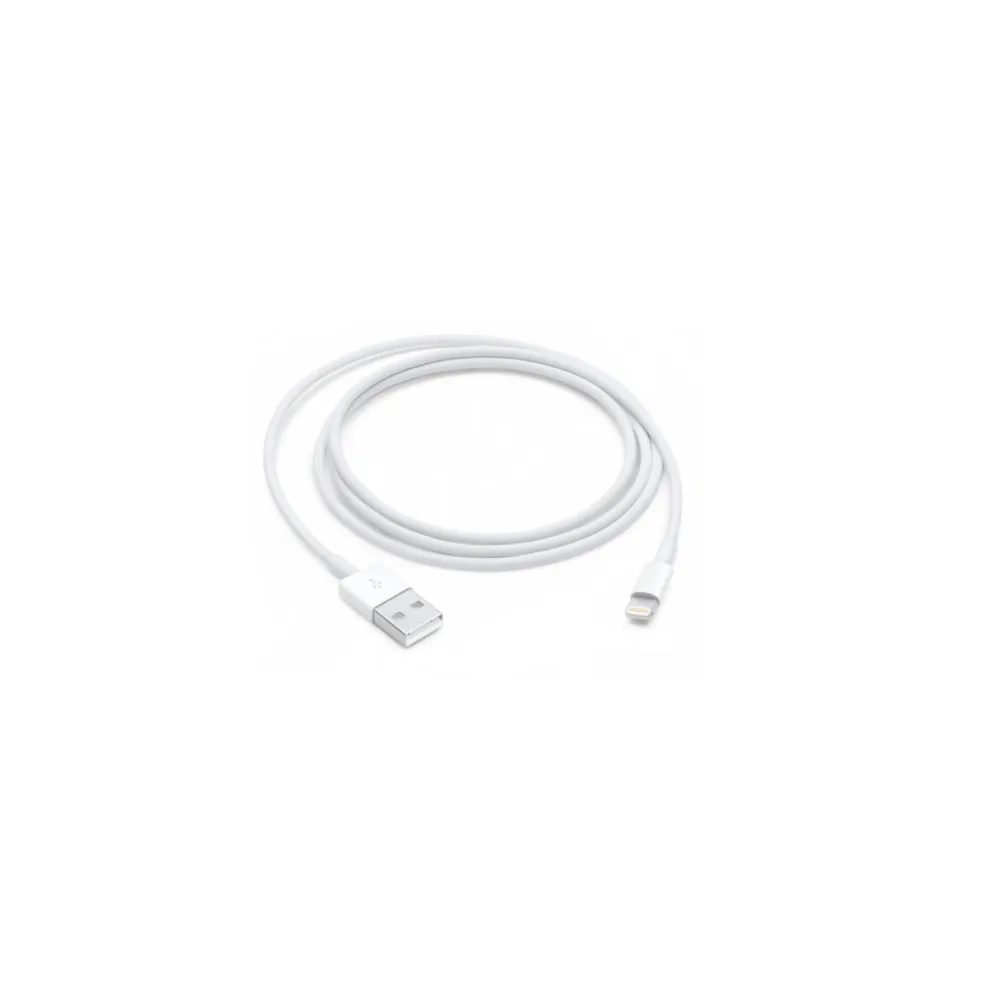 Apple Lightning to USB Cable (1 m)